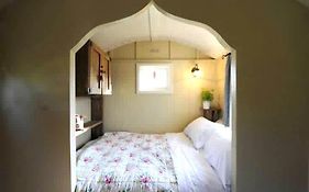 Beech Shepherds Hut
