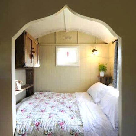 Beech Shepherds Hut York Exterior photo